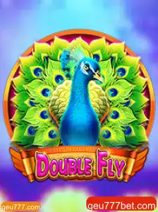 Explorando o Excitante Mundo de DoubleFly